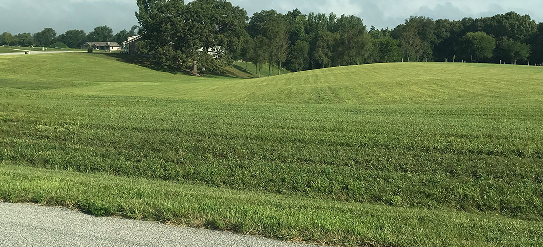 Landscaping Quad Cities