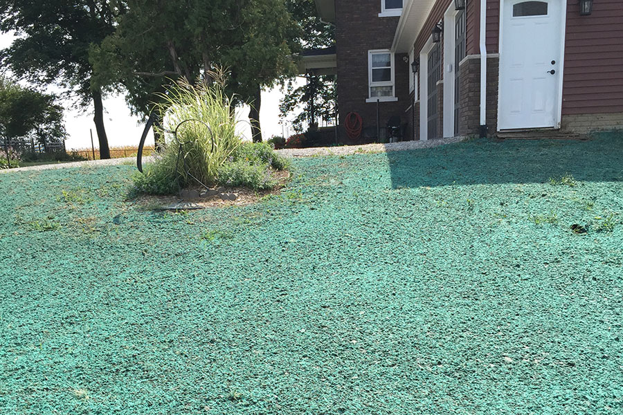 Finish Grading and Seeding Quad Cities